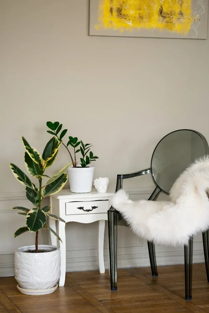 Staged corner with a side table, potted plants, and a sheepskin-draped chair